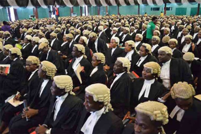 A cross section of lawyers