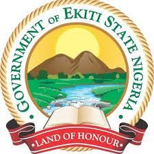 Ekiti Sexual Assault Centre recorded 139 gender-based violence cases in 1 year – Coordinator