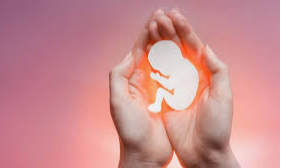 Abortion (photo source; euractiv.com)