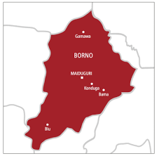 UN condemns reported ambush, killing of over 30 civilians in Borno