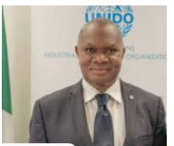 Agriculture key to Nigeria’s economic diversification, improved revenue generation — UNIDO boss