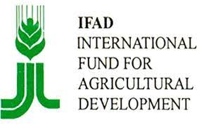 IFAD-VCDP targets 50% women participation in agriculture in Niger