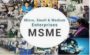 Micro Small and Medium Enterprises (MSMEs)