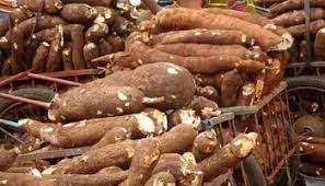 FCMB, Unilever partner Psaltry Int’l to deliver cassava-based Sorbitol factory￼