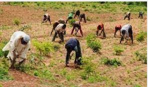 Agriculture: Stakeholders to encourage local production of equipment