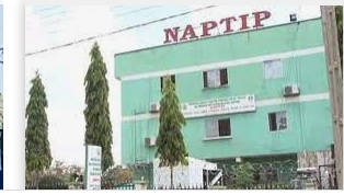 GBV: UNFPA reinforces partnership with NAPTIP