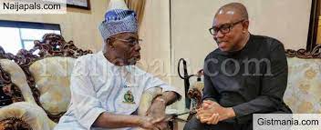 2023: Again, Peter Obi, Obasanjo meet in Ogun