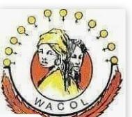 Violence Against Women: WACOL renders assistance to 62,000 women, girls