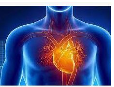 How to avoid 80% of heart-related diseases— NHF
