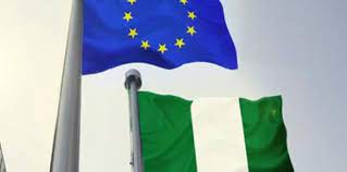 EU allocates €500,000 to combat cholera in Nigeria