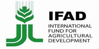 FGN, IFAD, distribute farm tools worth N25m to farmers in Enugu