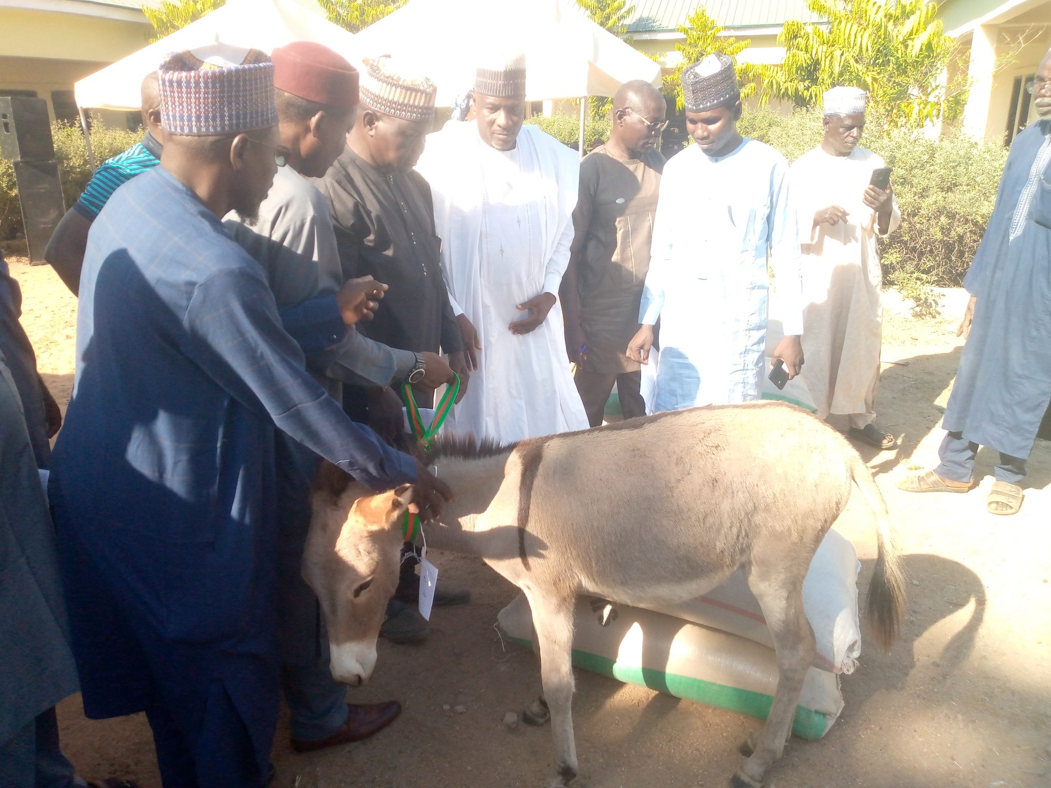 Agriculture: FG empowers donkey farmers in Adamawa