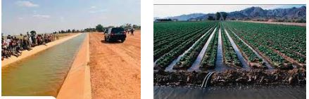 FG hands over 228 hectares Gari Irrigation project to Jigawa, Kano farmers
