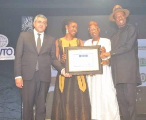 Goge Africa bags United Nations Award
