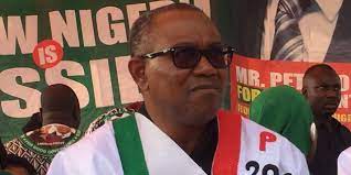 Alleged Merger talks: Group flays PDP, demands apology to Peter Obi