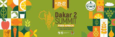 Feed Africa Summit: AfDB to commit $10bn to make continent the breadbasket of the world