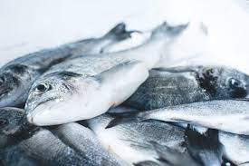 UK network seeks stakeholders’ cooperation to boost Ekiti aquaculture sector