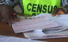2023 census ‘ll make future exercise less expensive – Official