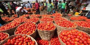 FCT housewives ditch tomatoes for stews as cost skyrockets