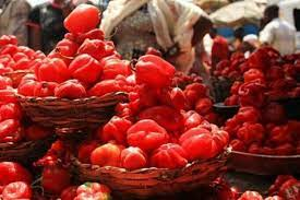 FG moves to removes taxes on tomatoes, raw food items soon, says chairman JTB