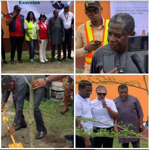 Environmental Sustainability: Rotary Club to spend over N10M on tree planting